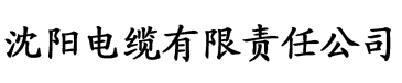 亚洲精品十八禁一区二区三区电缆厂logo